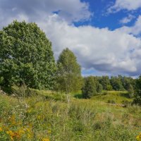 Палитра августа... :: Владимир Жданов