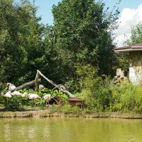 НА_ПОБЕРЕЖЬЕ :: Сергей Янович Микк