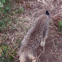 Talgar. :: Murat Bukaev 