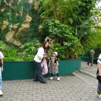 Из жизни прохожих :: svk *