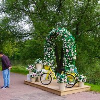 Фотозона :: Ольга 