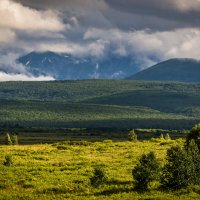 ... :: Жора Житников