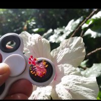 112 (239) :: СТРЕН 