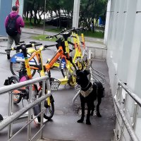 Городские зарисовки. :: Ольга Довженко