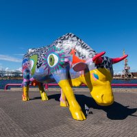 *** :: Геннадий Порохов