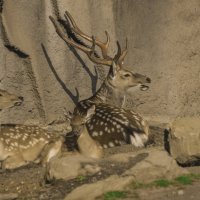 Август семья - Любовь зна :: Владимир Максимов