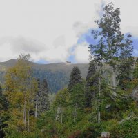 Кавказские горы :: Рита Симонова