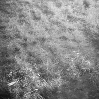 Назва. отсу. :: Денис Безногов