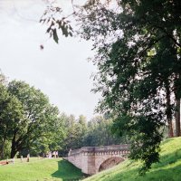 Гатчинский парк :: Виталий Потапкин