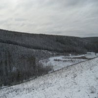 В лесу :: Anna Ivanova