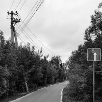 Дорожные знаки :: Любимова Ольга 