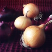 94 :: Василий Палий 94 :: Василий Палий