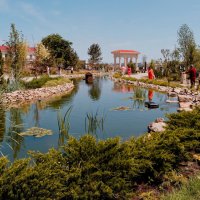 Крымские зарисовки :: Александр Гапоненко Крымские зарисовки :: Александр Гапоненко