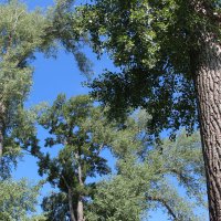 Мой город. :: Венера Чуйкова