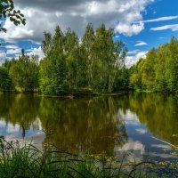 Вторая половина Августа 8 :: Андрей Дворников