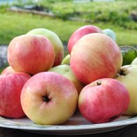 Вкусное лето) :: Андрей 