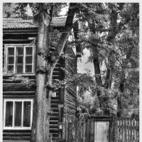 Старый двор. :: Дмитрий Янтарев