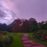 Закат :: Сапсан 