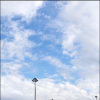 Земляные работы :: Сергей Премонишын