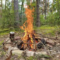 *** :: Денис Бочкарёв *** :: Денис Бочкарёв