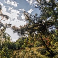 Лучевое освещение :: sorovey Sol Лучевое освещение :: sorovey Sol