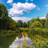 Ассорти :: Waldemar F.