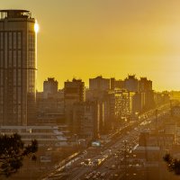 Вечерний Волгоград :: Налётчик - Вечерний Волгоград :: Налётчик -