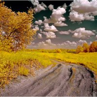 Солнечный день мая ( Инфракрасная фотография. Фильтр IR 630nm ) :: Валентин Котляров