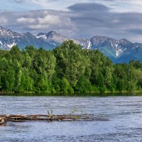 ... :: Жора Житников