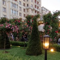 украшения фестиваля :: Галина R...