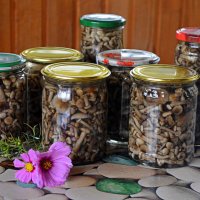 Результаты трудов праведных :: Татьяна Лютаева Результаты трудов праведных :: Татьяна Лютаева