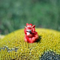 О вредителях урожая... :-) :: Андрей Заломленков О вредителях урожая... :-) :: Андрей Заломленков