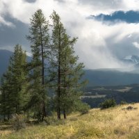 Снеговая туча :: Марина Фомина. Снеговая туча :: Марина Фомина.