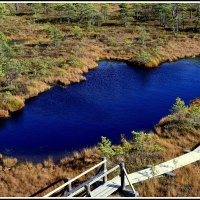 *** :: Aleksandr Gal