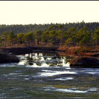 *** :: Aleksandr Gal