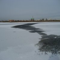 Пасмурный день :: Anna Ivanova