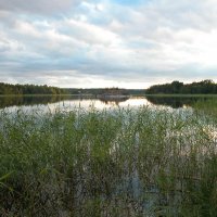 Ладога. Тишинв... :: Наталья Лунева 