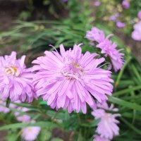 ,,, :: Сергей Тимоновский ,,, :: Сергей Тимоновский