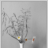 Просто    ромашки... :: Галина Кузьмина