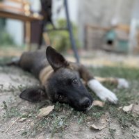 Жуля :: Валентина .