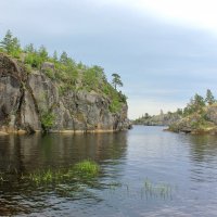 Сосновые дебри :: Владимир Соколов (svladmir)