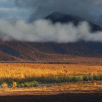 Золотая осень в Оймяконье :: Дмитрий Шишкин