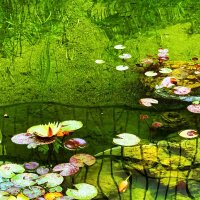 ПРУД   У   ТЦ (2) :: Анатолий Малобродский