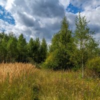 Вторая половина Августа 10 :: Андрей Дворников