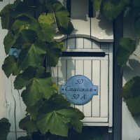 Суздаль, он такой :: Вячеслав Владимирович