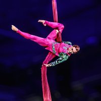 Гимнастика :: SanSan 