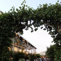 дни фестиваля :: Галина R...