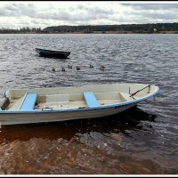 *** :: Aleksandr Gal *** :: Aleksandr Gal