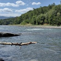 Река Белая :: Владимир Д