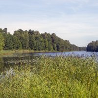 г.Покров. Черное озеро :: Сергей Цветков